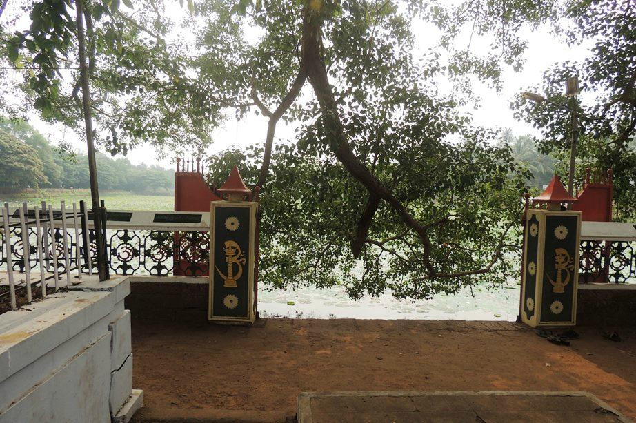 Thiruvachira Sree Krishna Temple景点图片