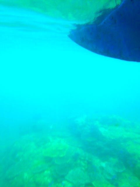 Yumekaina-Gaiyana Pleasure Boat around Kashima Ocean Parks-爱南町必去景点