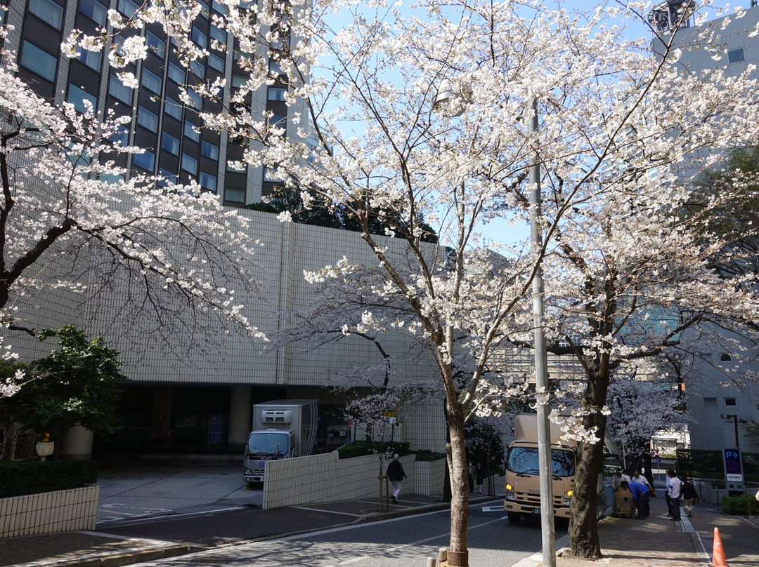 Sakurazaka景点图片