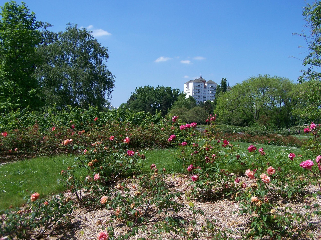 Le Grand-Quevilly旅游攻略图片