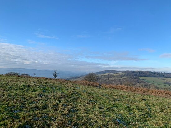 Quantock Hills Area of Outstanding Natural Beauty景点图片