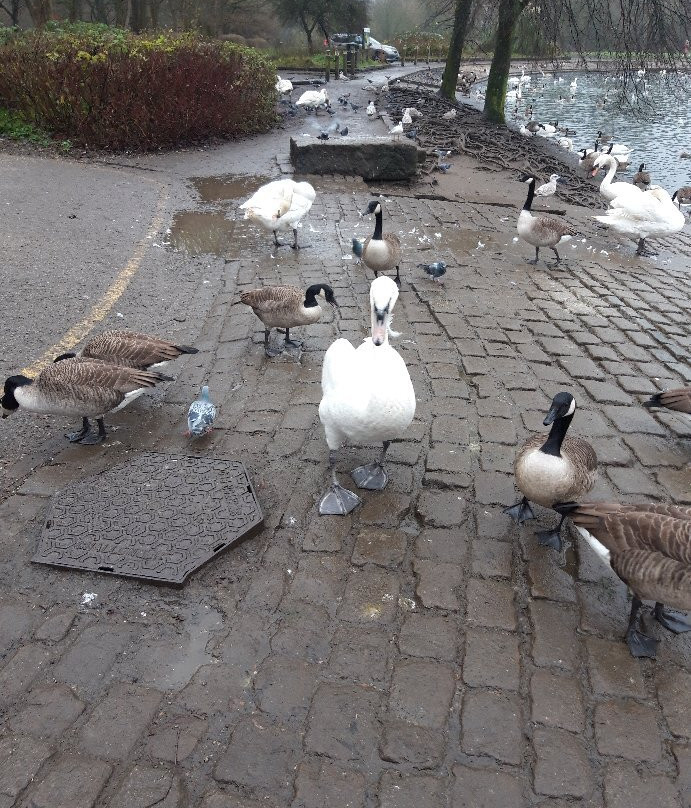Moses Gate Country Park景点图片