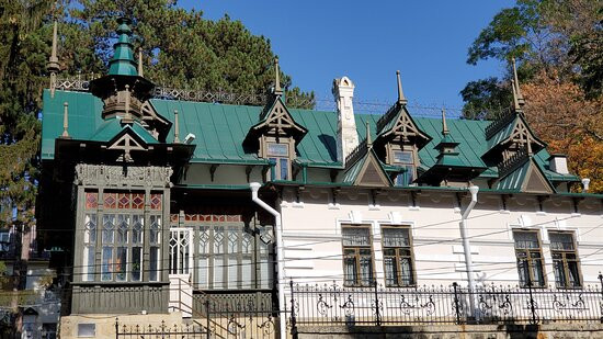 Dacha Shalyapina State Historical and Cultural Museum景点图片