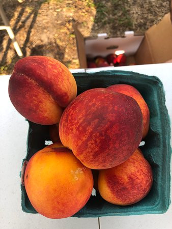 Franklin Farmers Market-富兰克林必去景点