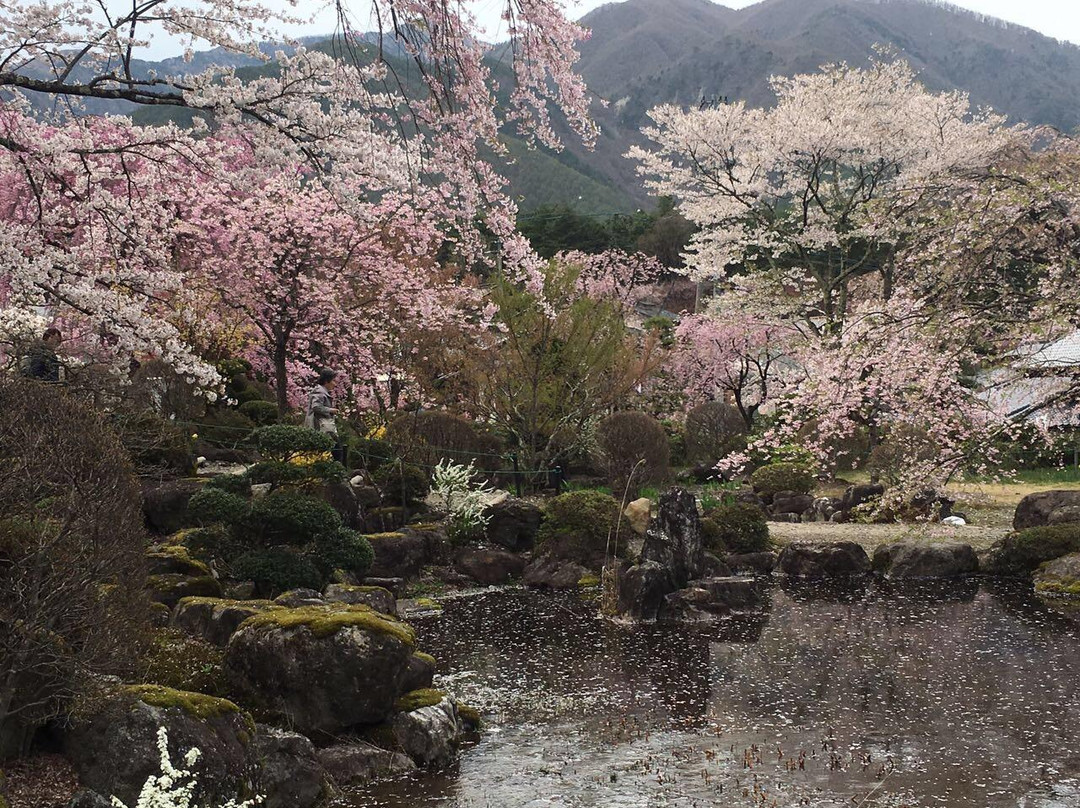 null-上富田町