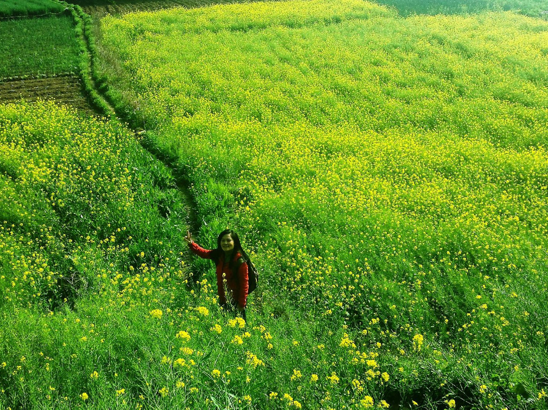 云峰八寨景点图片