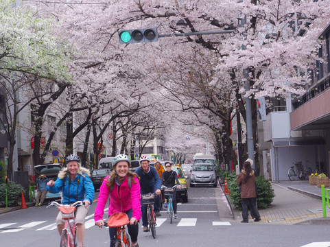 东京自行车大巡游-中央区必去景点