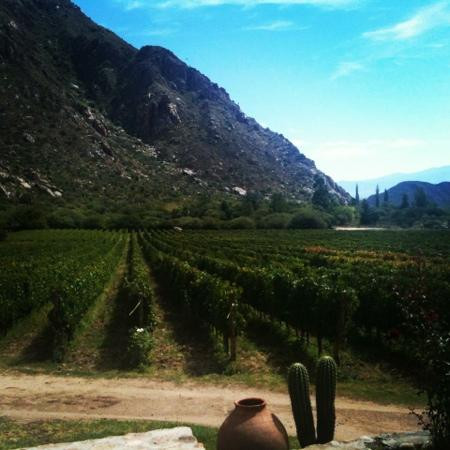 Finca Las Nubes景点图片