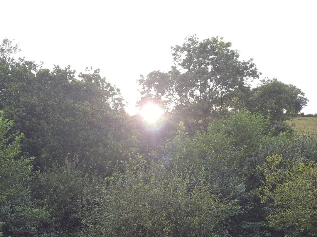 Lanreath旅游攻略图片