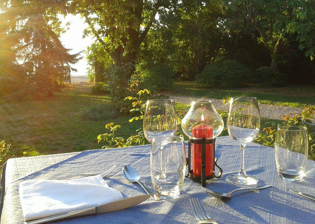 Chens-sur-Leman餐馆和美食-Restaurant Les Figuiers