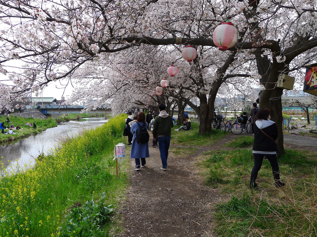 Asakadai