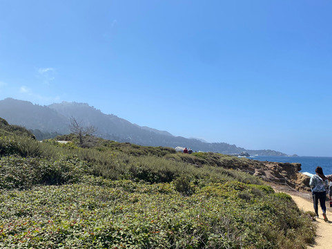 Carley Brother Tours-蒙特雷必去景点