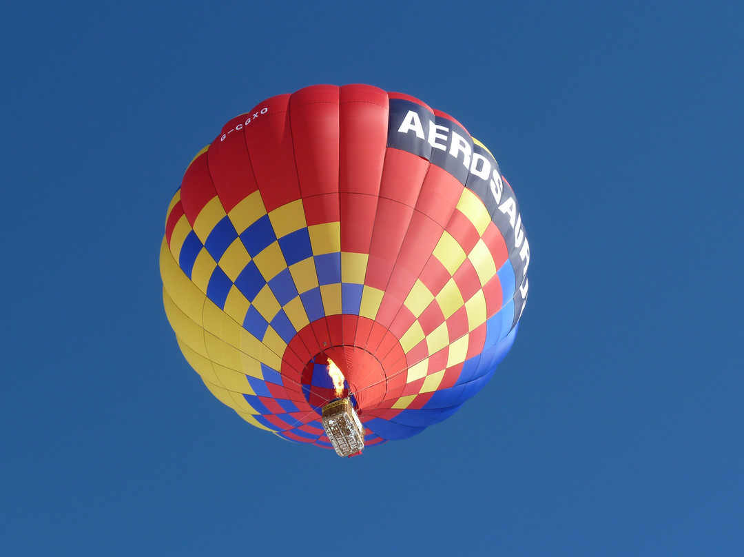 Aerosaurus Balloons - Tours景点图片