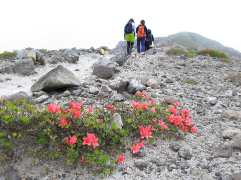 Full Earth-神津岛村必去景点