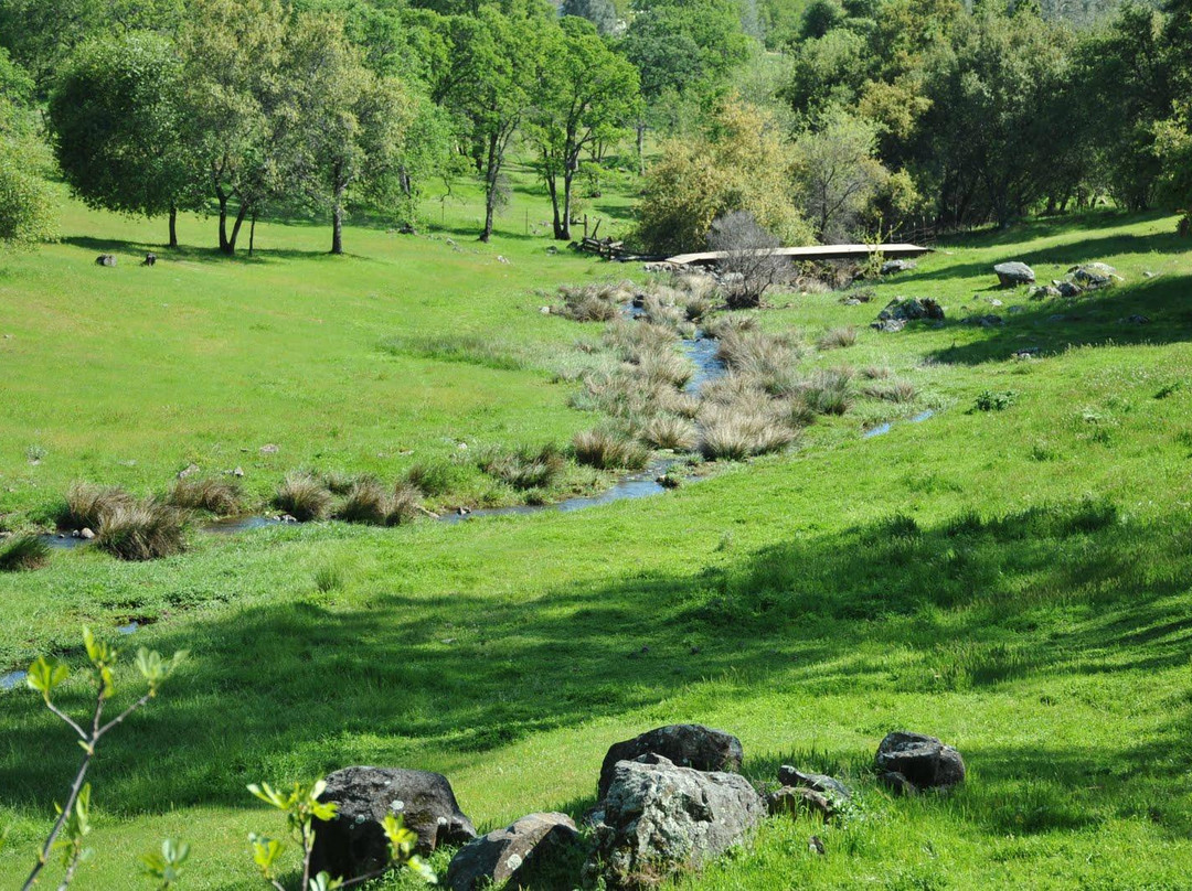 Long Creek Winery & Ranch景点图片