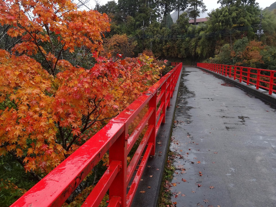 Toyofusa Lake-君津市必去景点
