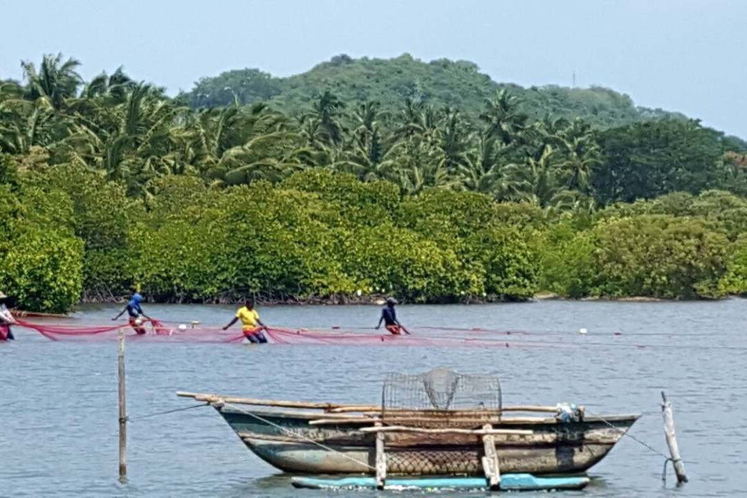 MD Tours - Private Driver Sri Lanka-加勒必去景点