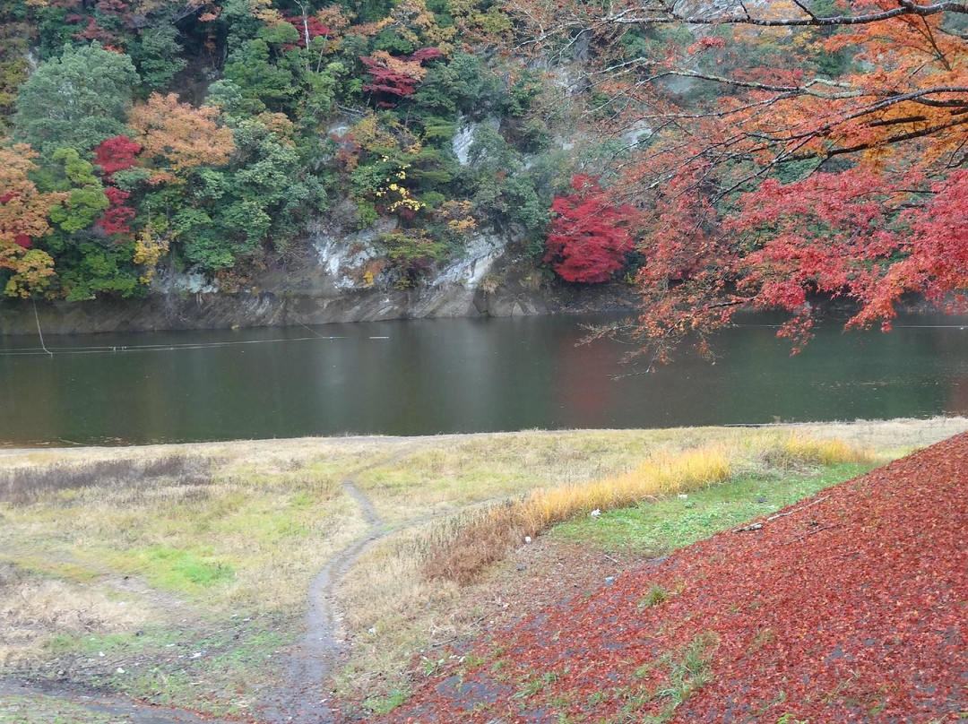Mishima Lake景点图片
