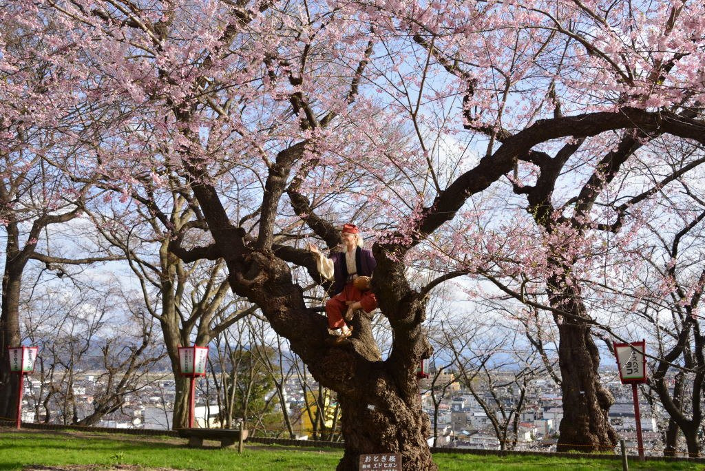 南阳市旅游景点-Eboshiyama Park