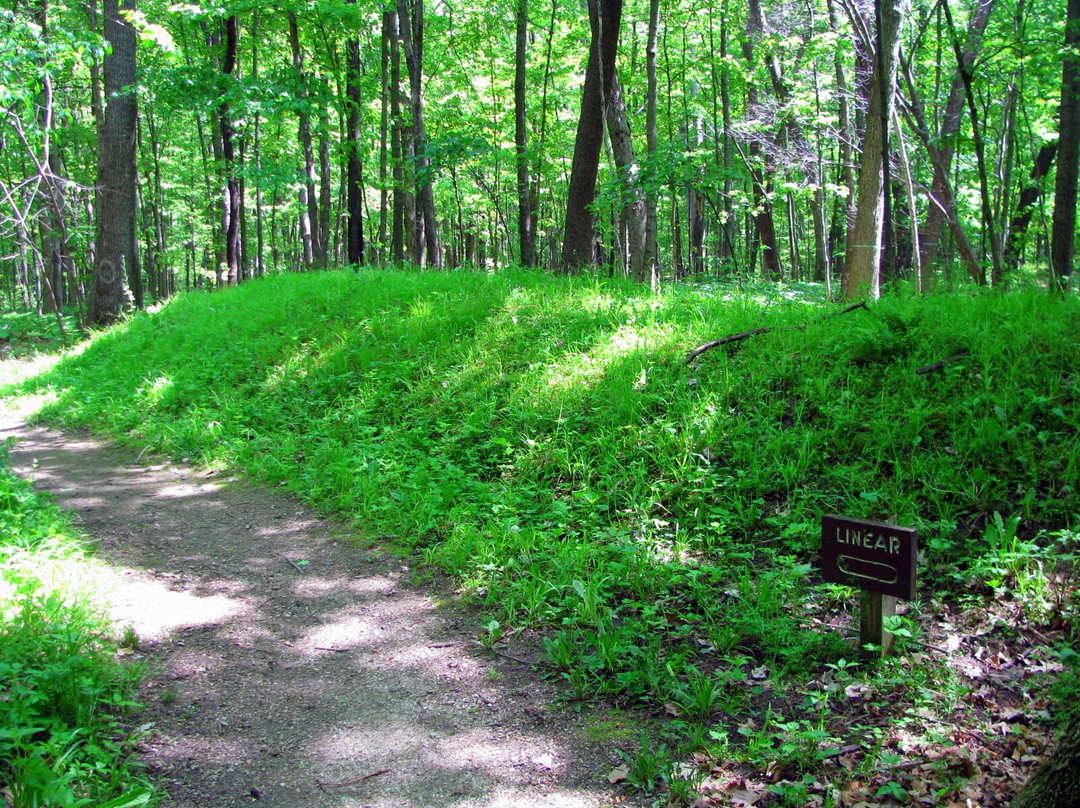 Lizard Mound County Park景点图片