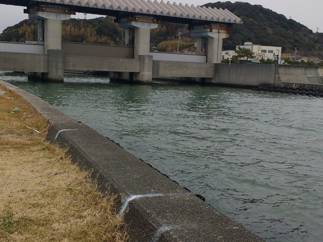 Sagara Beach-牧之原市必去景点