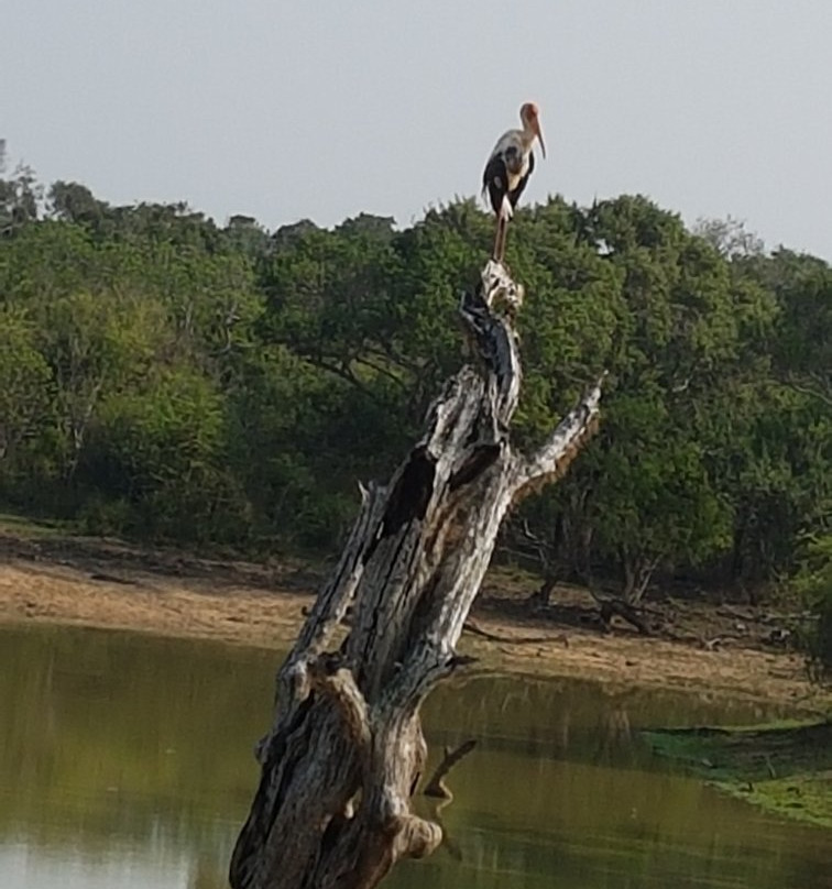 Oriole Taxi & Tours-蒂瑟默哈拉默必去景点