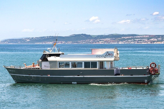 Sea Experience-埃斯特波纳必去景点