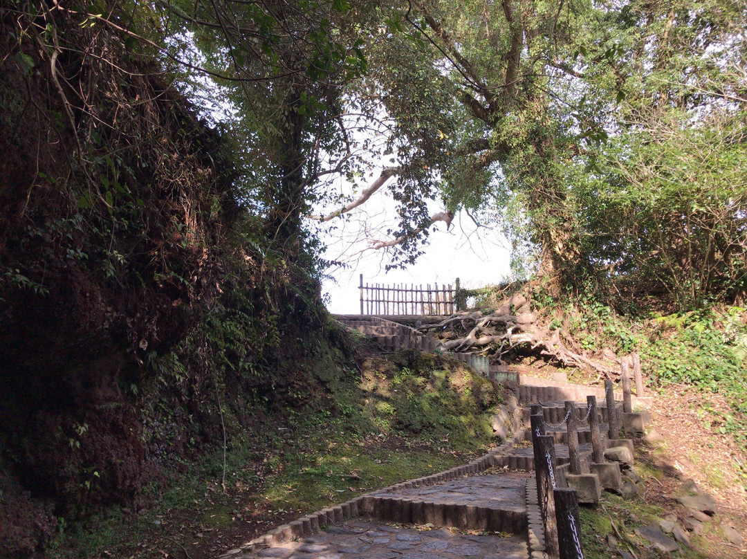 Mt. Kasayama景点图片