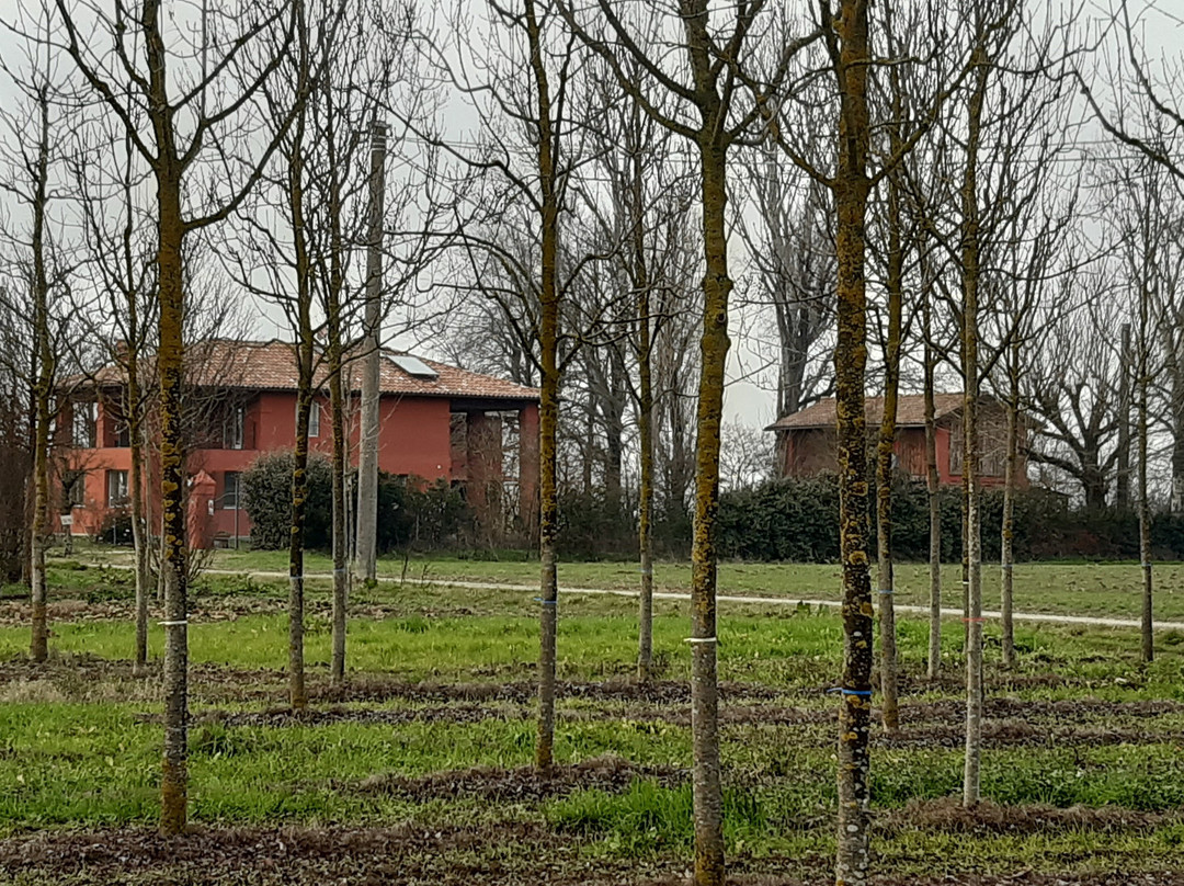 B&B Santa Maria di Lorgana主图