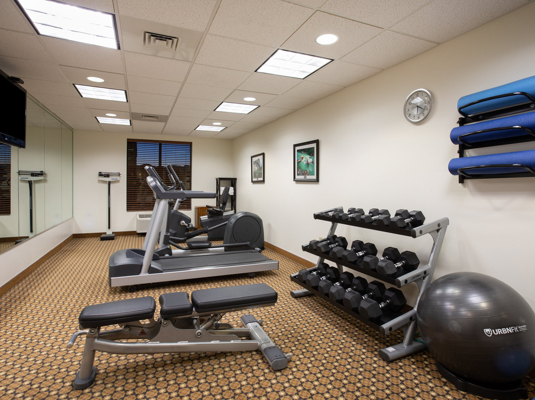 兰德快捷假日&套房酒店主图