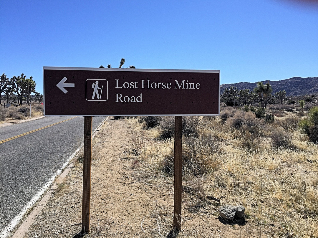 Johnny Lang Grave-约书亚树国家公园必去景点