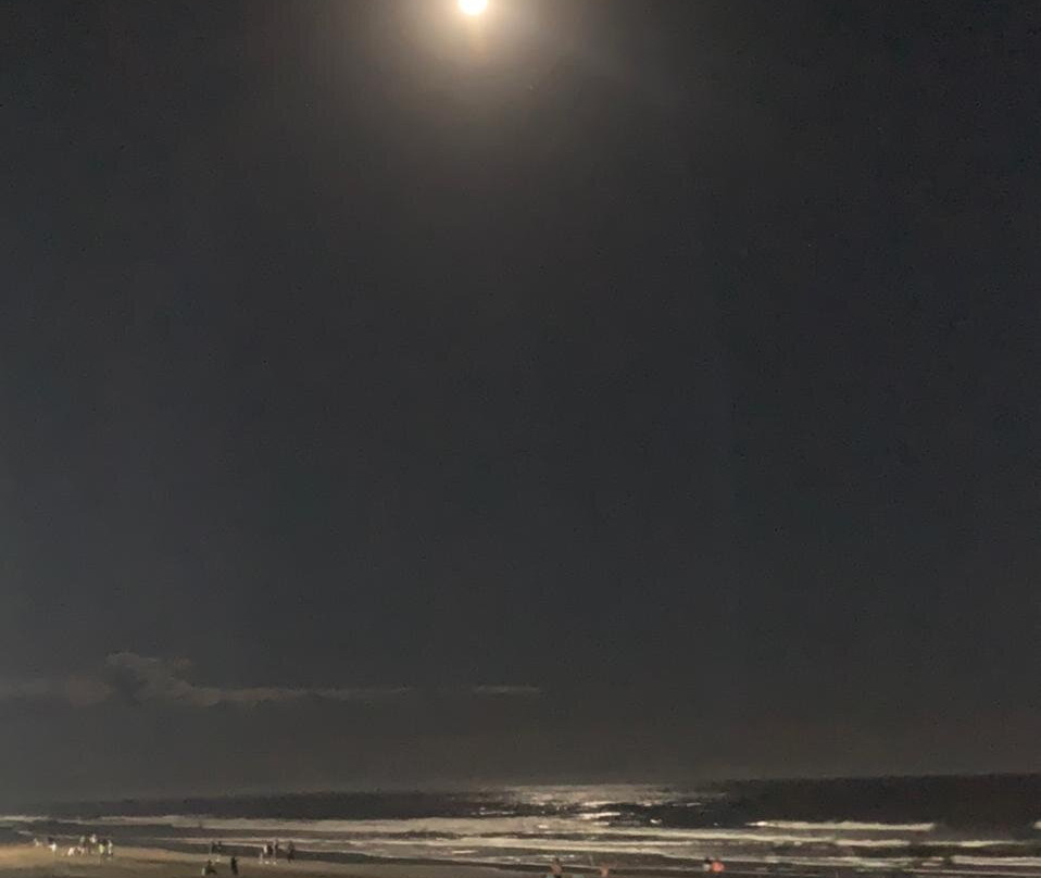 Playa San Bernardo景点图片