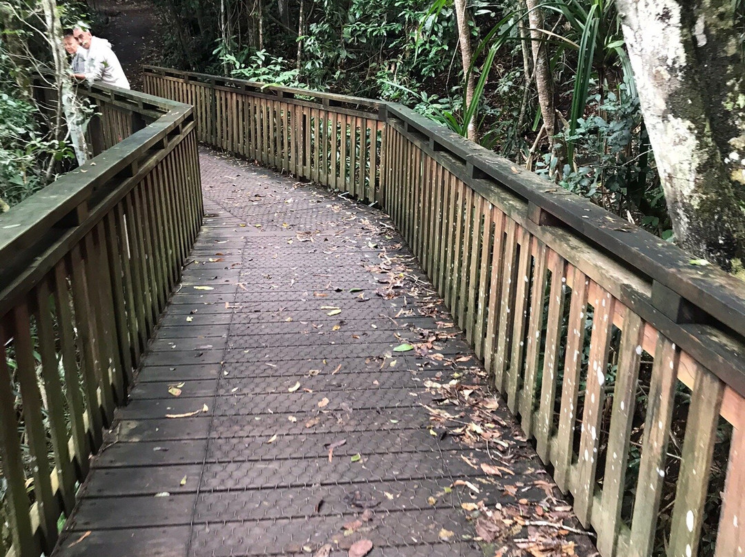 Lake Eacham Crater Lakes National Park-Lake Eacham必去景点