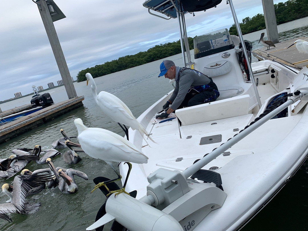 BeeLine Fishing Charters, LLC-迈尔斯堡海滩必去景点