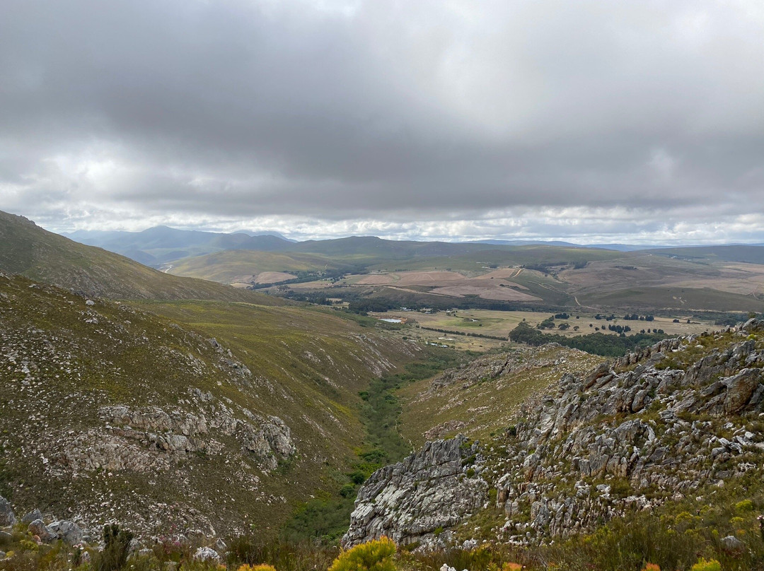 Phillipskop Mountain Reserve景点图片