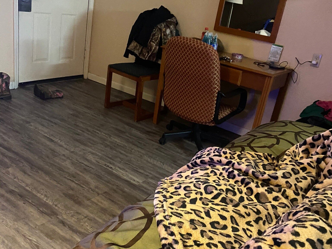 Super 8 by Wyndham Terrell主图