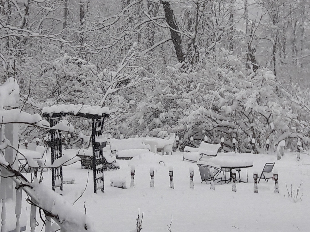 Proctor Mansion Inn主图