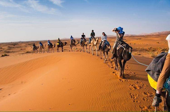 Marhaba to Morocco Tours-非斯必去景点