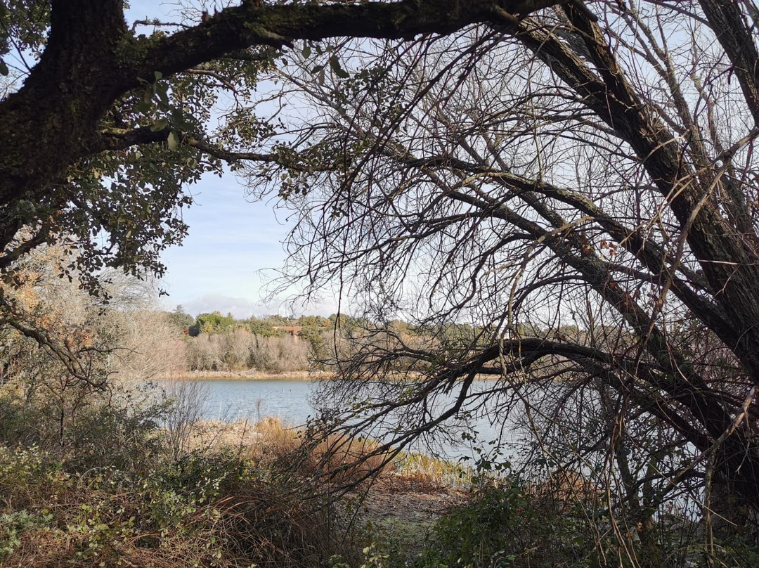 Embalse de los Arroyos景点图片