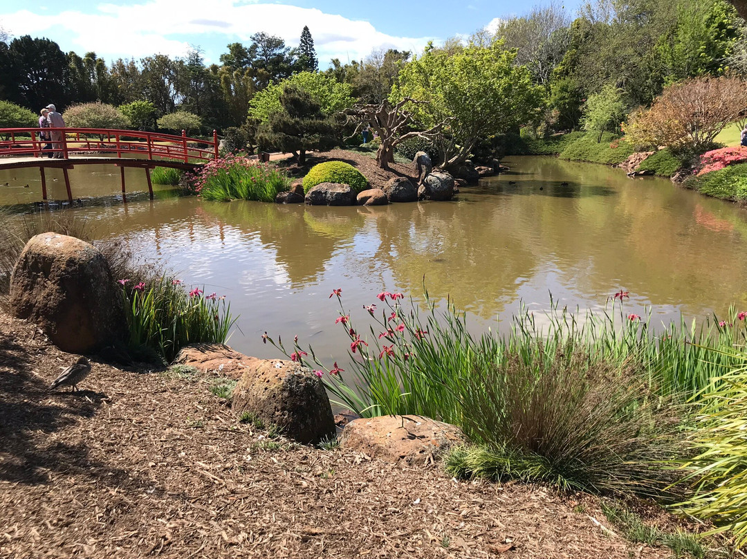 Japanese Garden-图沃柏必去景点
