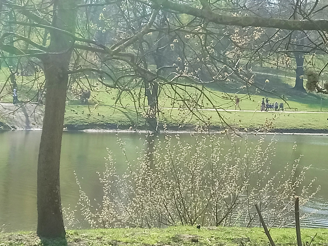 Park Kasprowicza景点图片