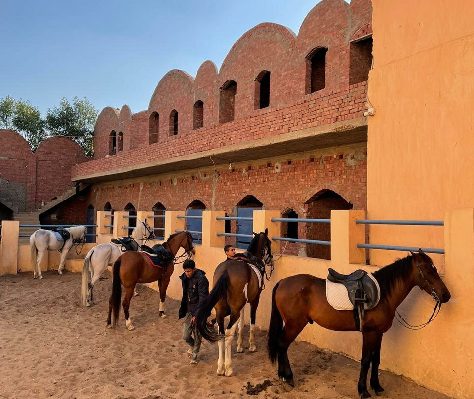 Happy Horse Holidays-开罗必去景点