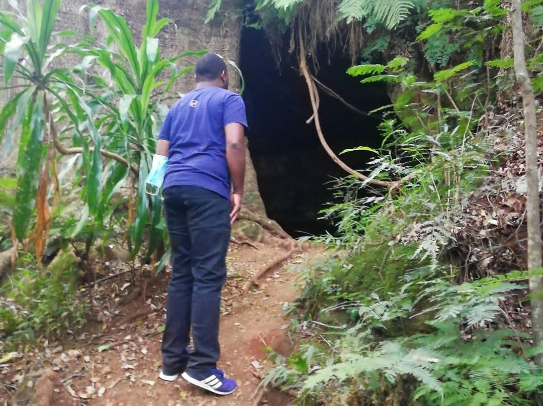 Karura森林-内罗毕必去景点