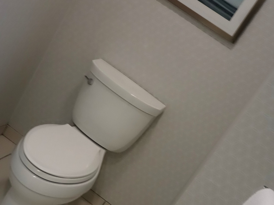 SpringHill Suites by Marriott Wilmington Wrightsville Beach主图