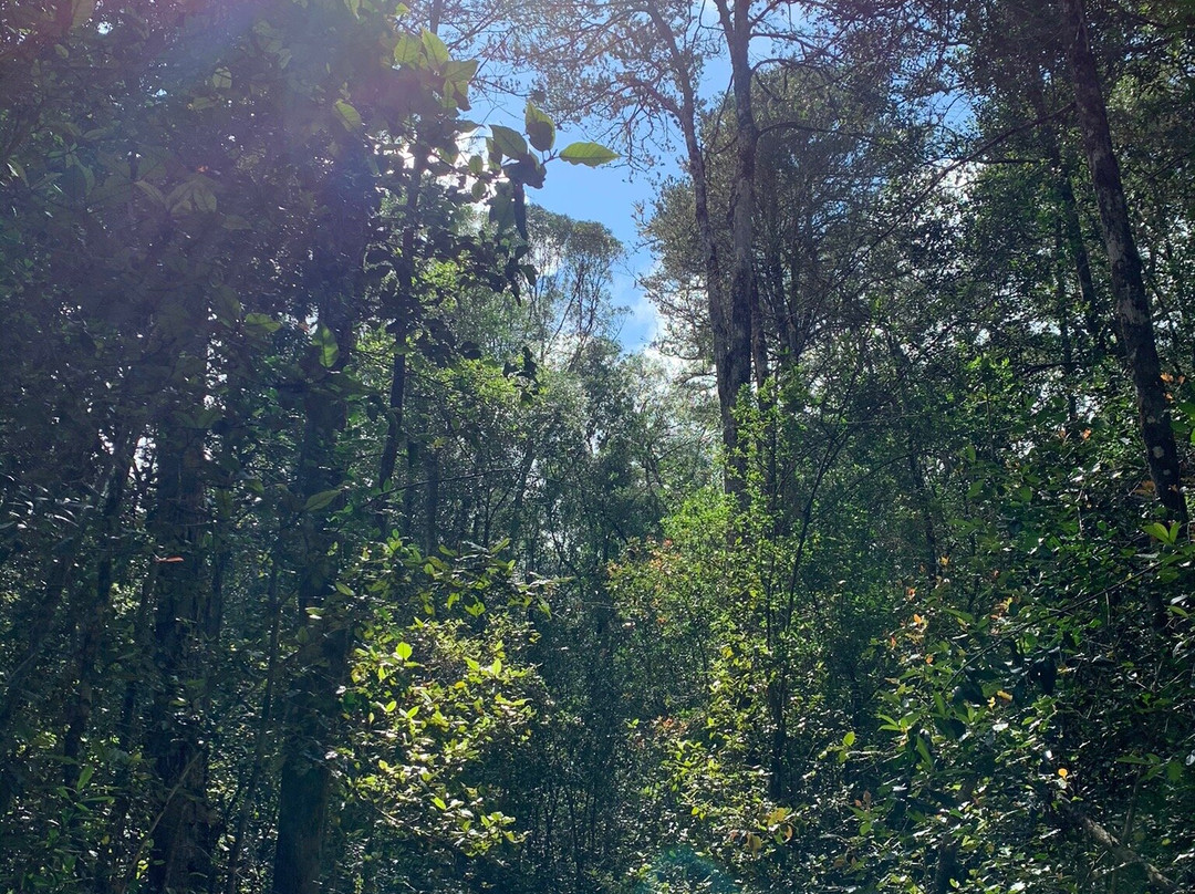 Terblans Nature Walk-克尼斯纳必去景点