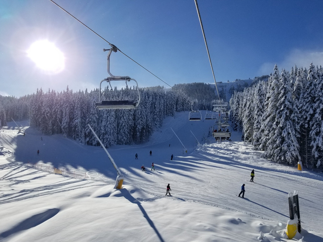 Cool Ski School景点图片