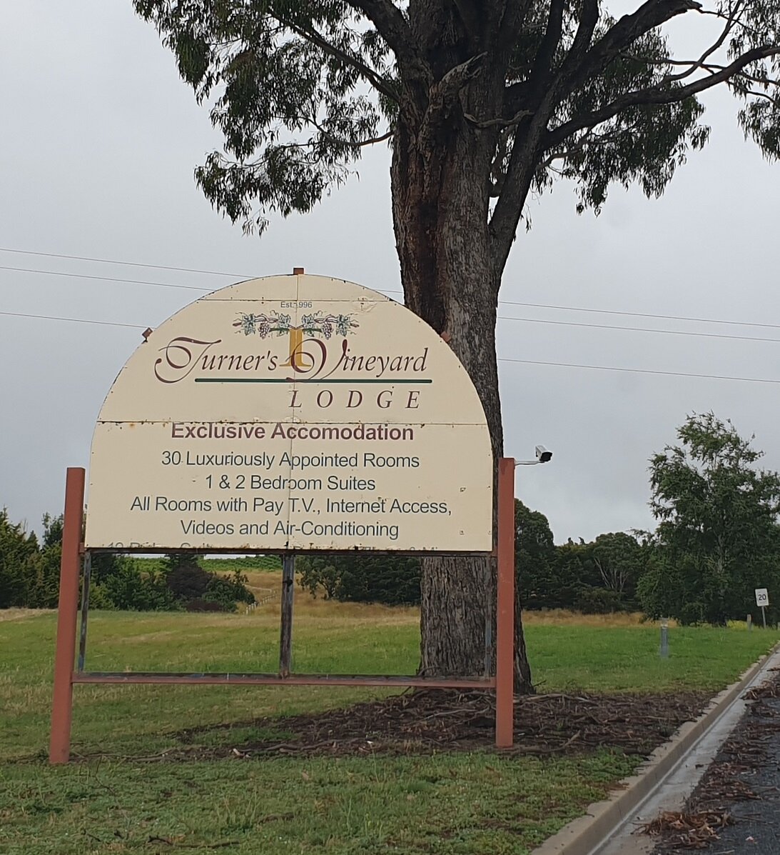 Turner's Vineyard-portrait