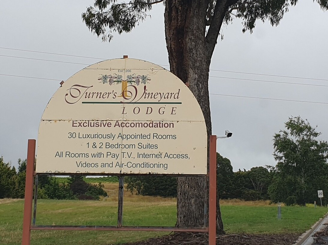 Turner's Vineyard主图