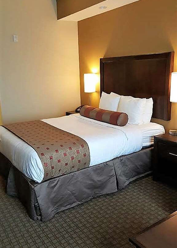 Best Western Plus Lacey Inn & Suites主图