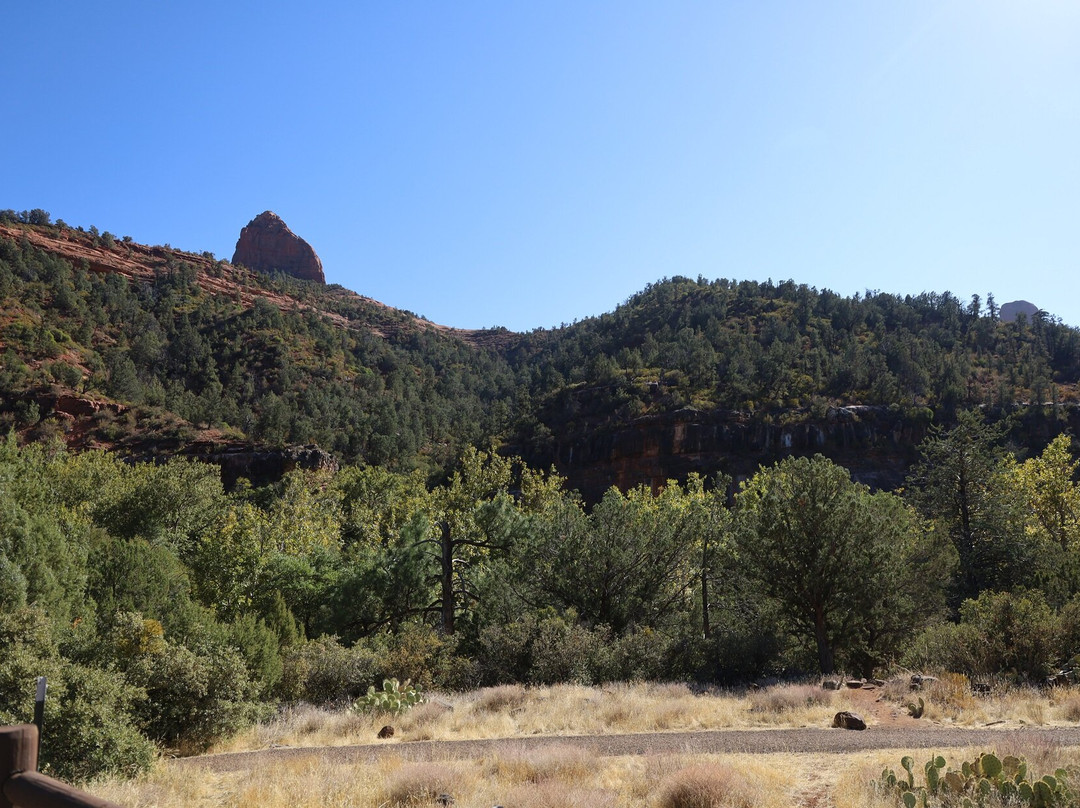 Coconino National Forest-弗拉格斯塔夫必去景点